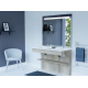 Meuble PMR complet ALTEA