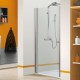 Paroi de douche VENUS porte pivotante 