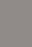 Gris terre d'ombre brillant 